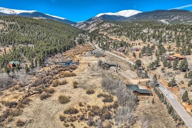 44 Forest Ridge Cir, Bailey, CO 80421 - view of mountain background