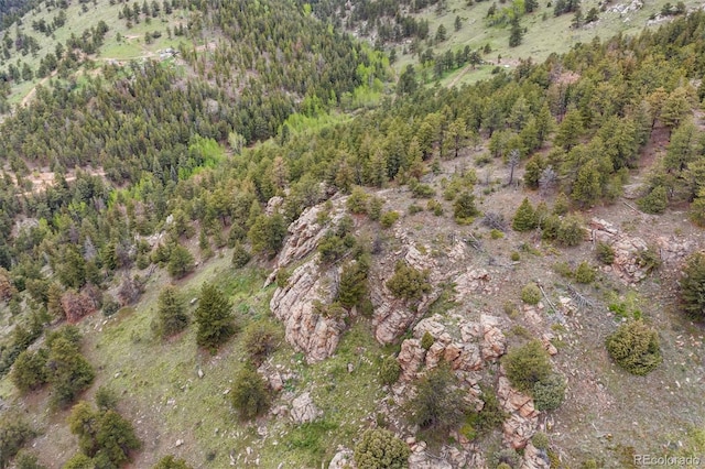 000 Spirit Horse Trl, Golden, CO 80403
