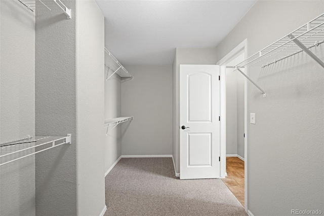 walk in closet with carpet floors