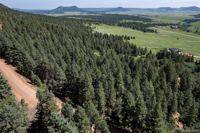 13665 Woodmoor W Dr, Larkspur, CO 80118 - photo 5