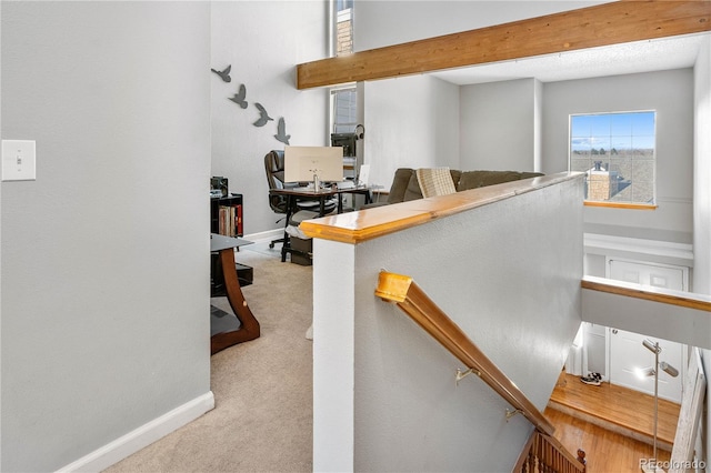 5155 W 68th Ave Unit 5, Westminster, CO 80030 - stairs featuring carpet and baseboards