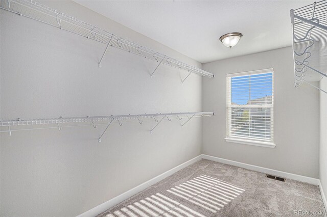 1011 White Leaf Cir, Castle Rock, CO 80108 - spacious closet featuring light colored carpet