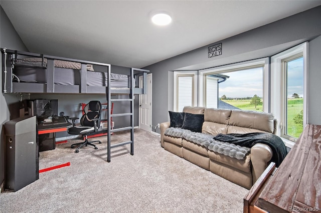 16090 State Highway 83, Colorado Springs, CO 80921 - photo 24