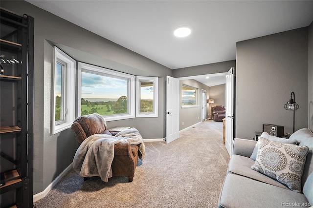 16090 State Highway 83, Colorado Springs, CO 80921 - photo 29