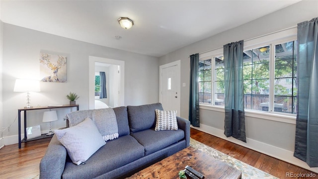 living room featuring hardwood / wood-style flooring