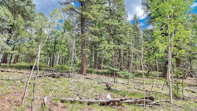 94 E Mariposa Cir, Cripple Creek, CO 80813