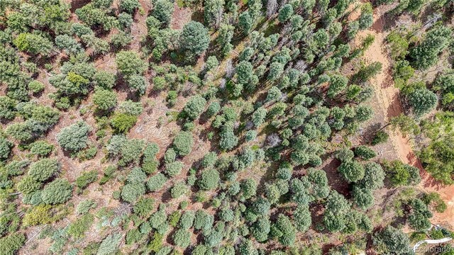 94 E Mariposa Cir, Cripple Creek, CO 80813