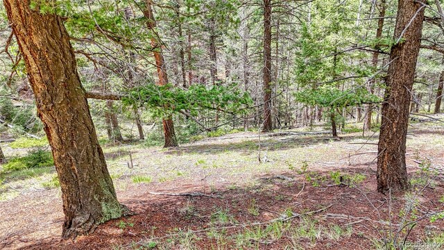 94 E Mariposa Cir, Cripple Creek, CO 80813