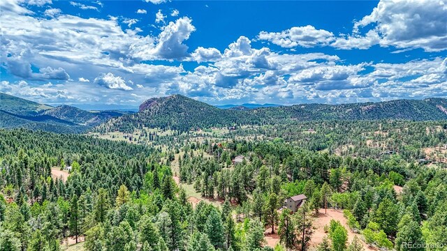 94 E Mariposa Cir, Cripple Creek, CO 80813
