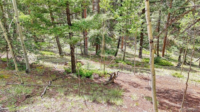 94 E Mariposa Cir, Cripple Creek, CO 80813