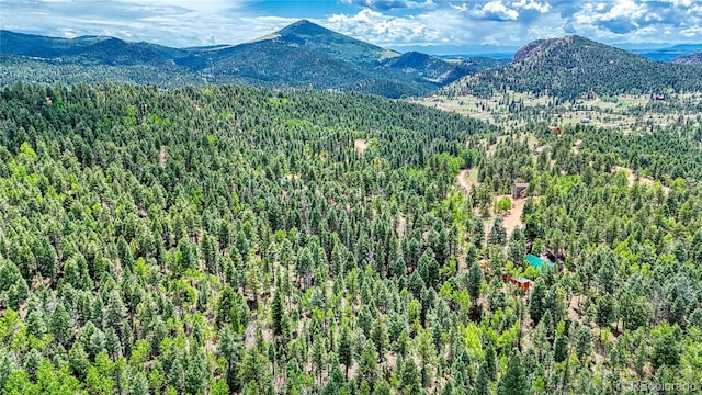 94 E Mariposa Cir, Cripple Creek, CO 80813