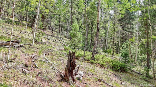 94 E Mariposa Cir, Cripple Creek, CO 80813