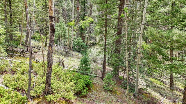 94 E Mariposa Cir, Cripple Creek, CO 80813