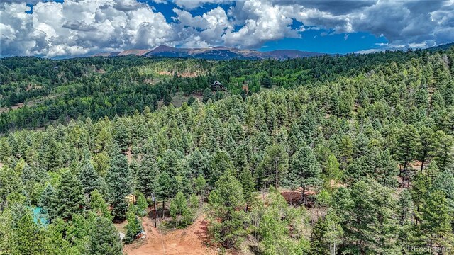 94 E Mariposa Cir, Cripple Creek, CO 80813