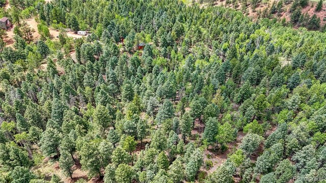 94 E Mariposa Cir, Cripple Creek, CO 80813