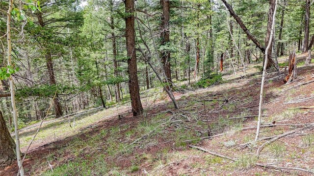 94 E Mariposa Cir, Cripple Creek, CO 80813