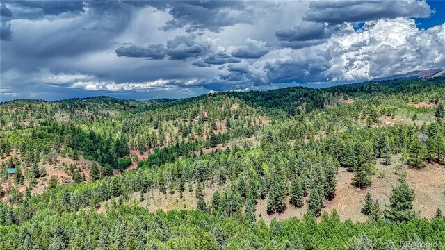 94 E Mariposa Cir, Cripple Creek, CO 80813