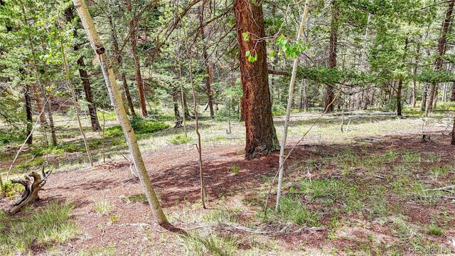 94 E Mariposa Cir, Cripple Creek, CO 80813