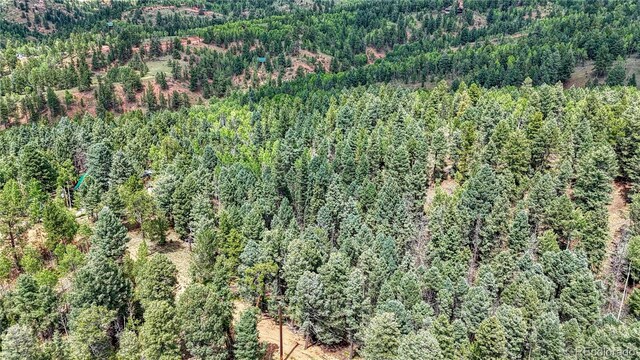94 E Mariposa Cir, Cripple Creek, CO 80813