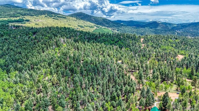 94 E Mariposa Cir, Cripple Creek, CO 80813