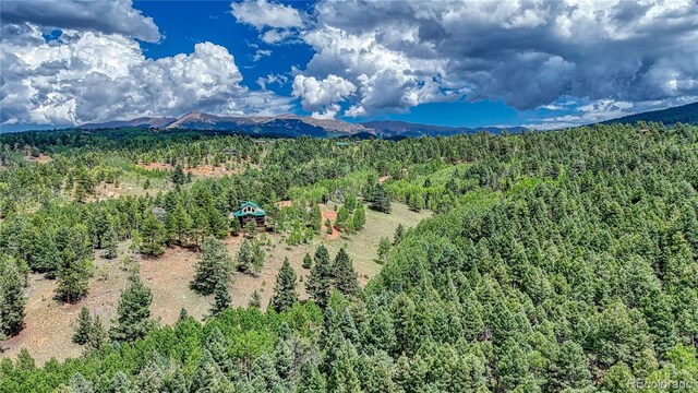 94 E Mariposa Cir, Cripple Creek, CO 80813