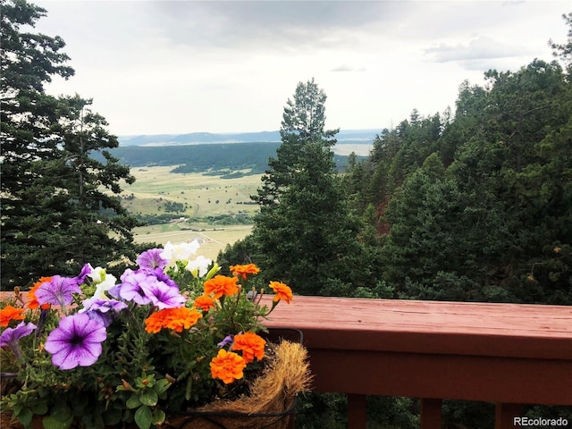 13540 Deer Ridge Way, Larkspur, CO 80118 - exterior view