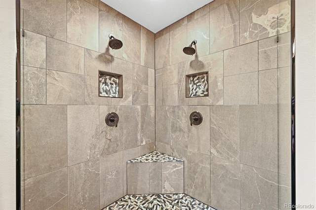 13540 Deer Ridge Way, Larkspur, CO 80118 - full bathroom featuring tiled shower