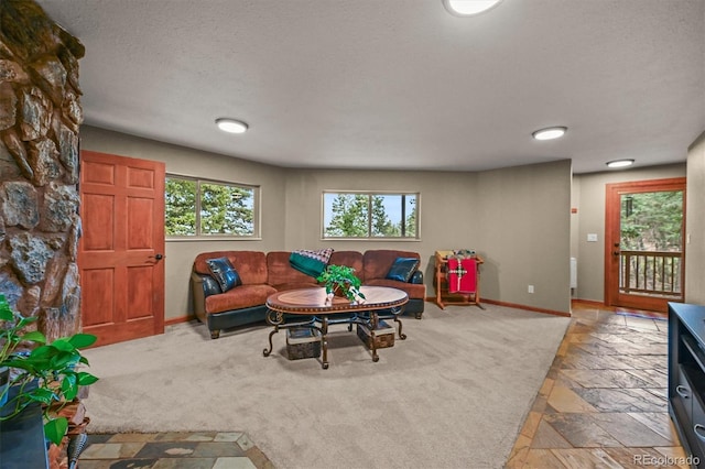13540 Deer Ridge Way, Larkspur, CO 80118 - carpeted living room featuring baseboards and stone finish flooring