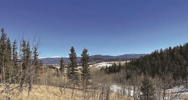 445 Spearpoint Rd, Como CO, 80432 land for sale