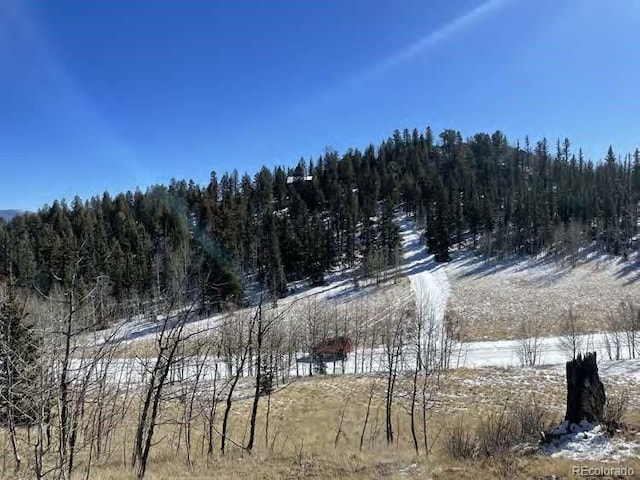 Listing photo 3 for 445 Spearpoint Rd, Como CO 80432