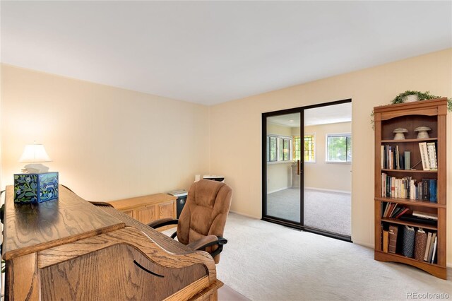 10520 W 101st Pl, Westminster, CO 80021 - photo 21