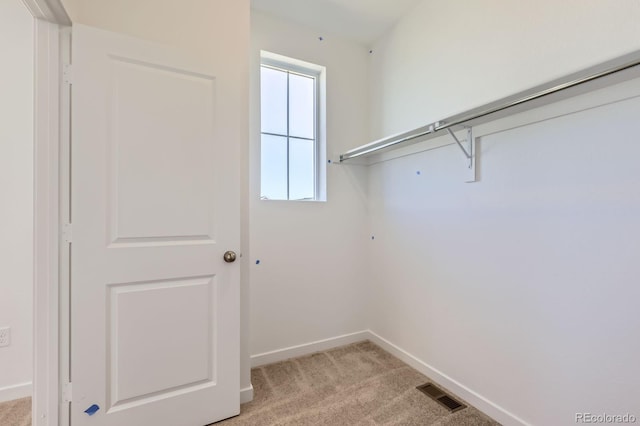 spacious closet featuring light colored carpet