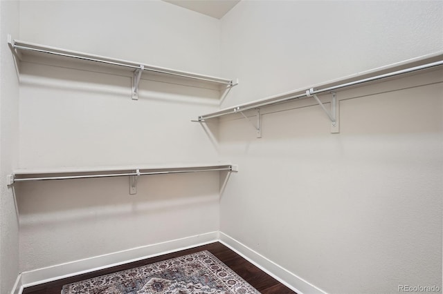 walk in closet with dark wood finished floors