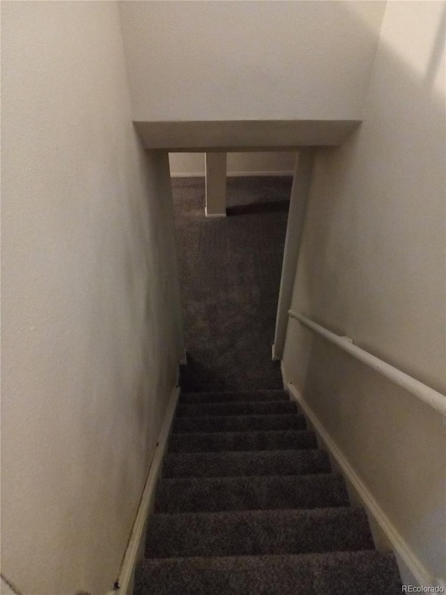 stairway featuring carpet