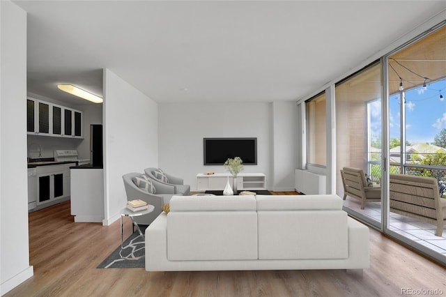 living room with light hardwood / wood-style floors, sink, and a wall of windows