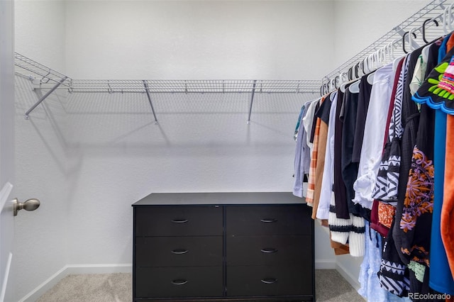 spacious closet featuring carpet