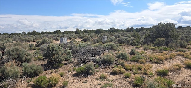 15830 N Canyon Dr, San Luis, CO 81152 - photo 2