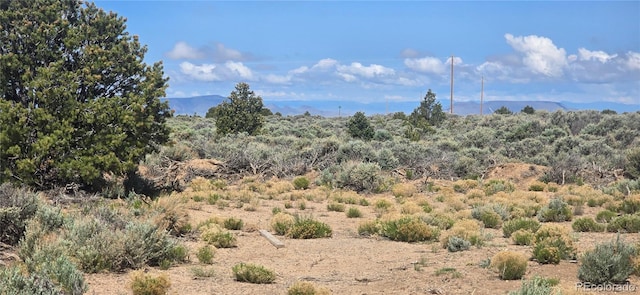 15830 N Canyon Dr, San Luis, CO 81152 - photo 5