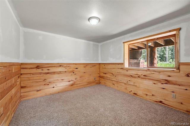 unfurnished room with wooden walls, carpet flooring, and wainscoting