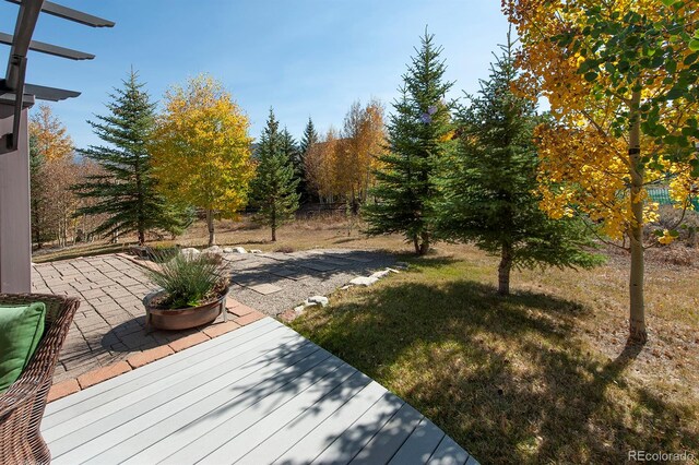 view of yard featuring a patio