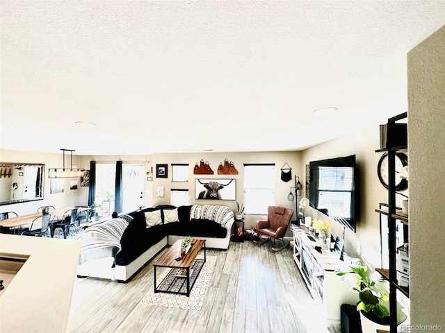 11975 Riverstone Cir Unit 9C, Commerce City, CO 80640 - living area featuring wood finished floors and a textured ceiling