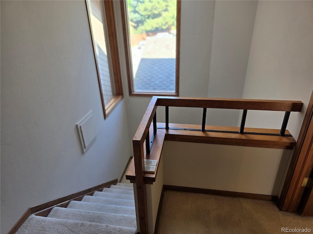 1502 Harrison Ave, Boulder, CO 80303 - photo 10