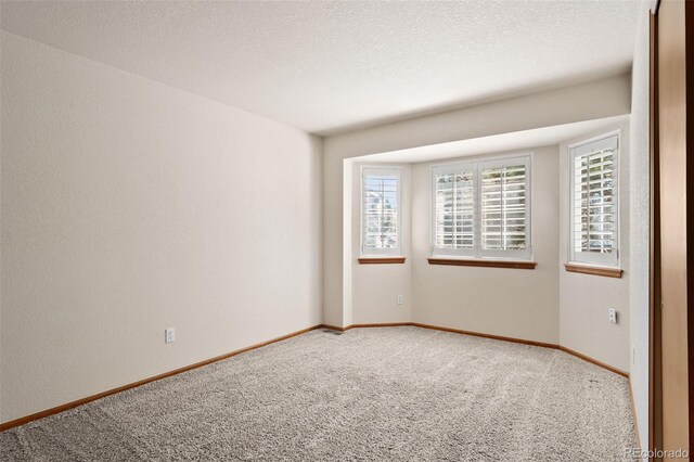 3595 Starflower Rd, Castle Rock, CO 80109 - photo 24