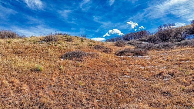 Michener Dr, Colorado Springs, CO 80907 - photo 15