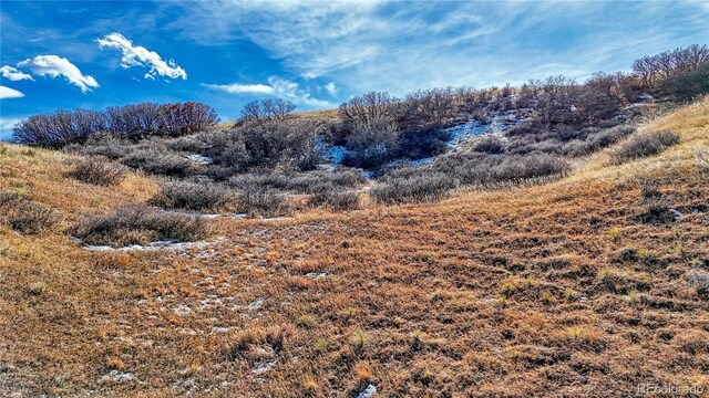 Michener Dr, Colorado Springs, CO 80907 - photo 17