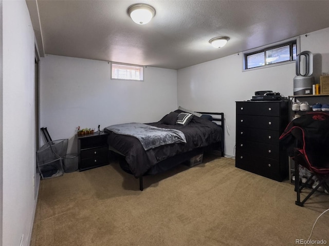 2114 N 21st St, Grand Junction, CO 81501 - bedroom featuring carpet, multiple windows, and a textured ceiling