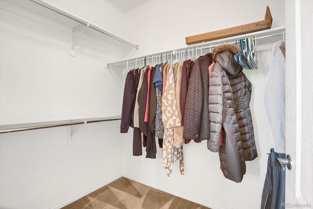 spacious closet with carpet