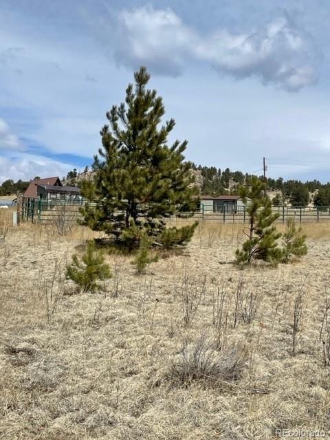 57 Fish Crk, Florissant, CO 80816 - photo 1