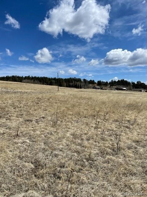57 Fish Crk, Florissant, CO 80816 - photo 3