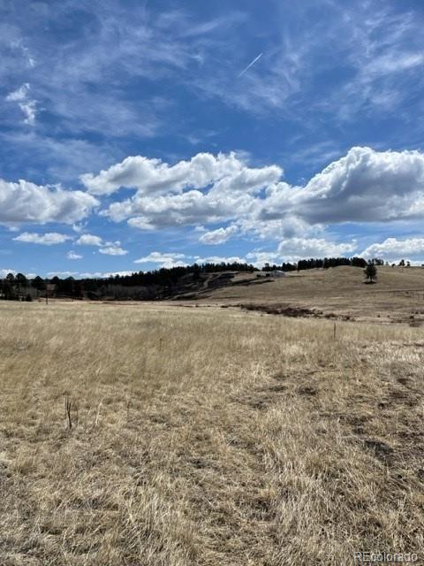 57 Fish Crk, Florissant, CO 80816 - photo 4